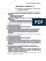 Cuestionario Del Capitulo 7 PDF