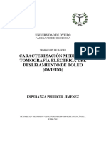 TFM_Esperanza Pellicer Jimenez.pdf