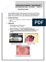 Práctica 5 - Cisticercosis, Hidatidosis-ALARCON ARENAS ERICK OMAR - A1 PDF