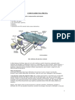 piscinas em concreto armado2.pdf