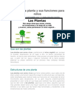 Las Plantas para Niños