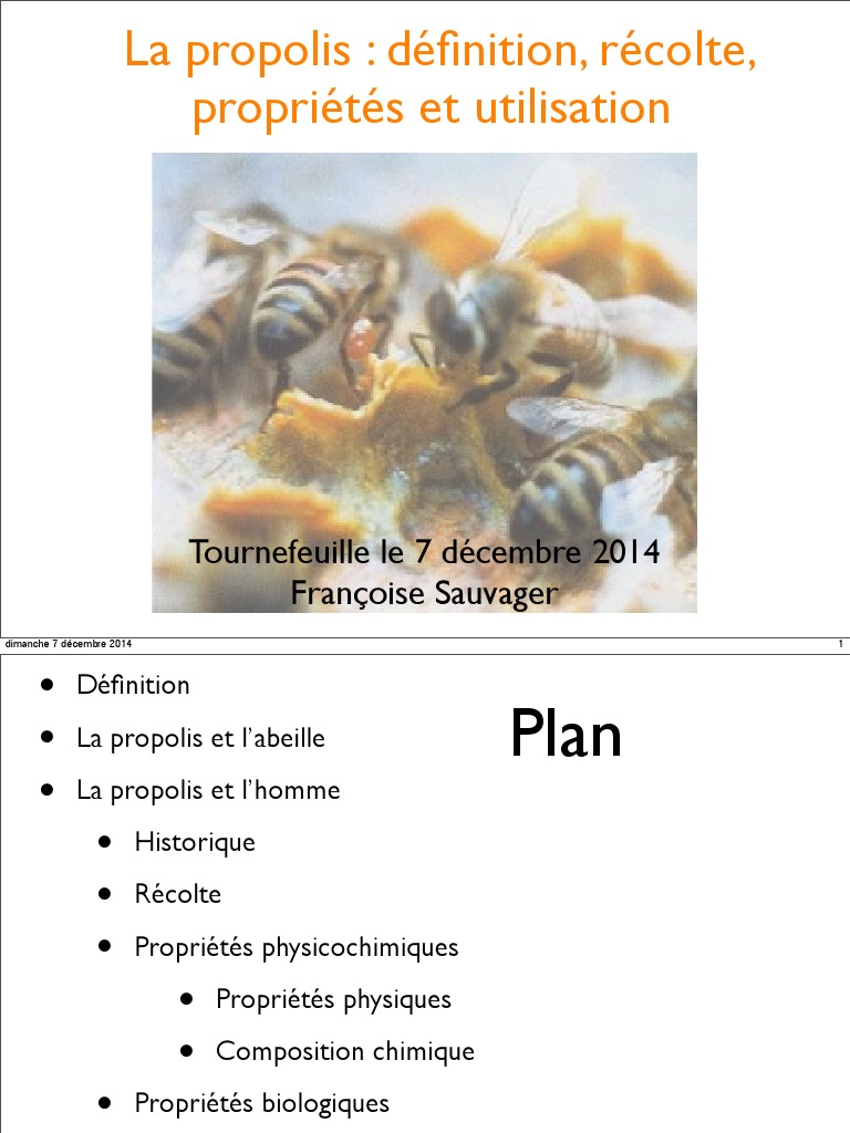 Propolis : définition et propriétés clés | PDF | Apis (insecte) | Ruche