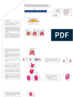 Flujograma Sistema Cardiaco PDF