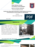 Presentacion Preliminar PT2 4 de junio 2020 Rodriguez Gallegos Andrea.pptx