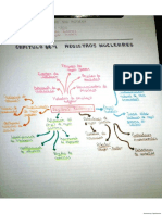 Registros nucleares resumen cap 4