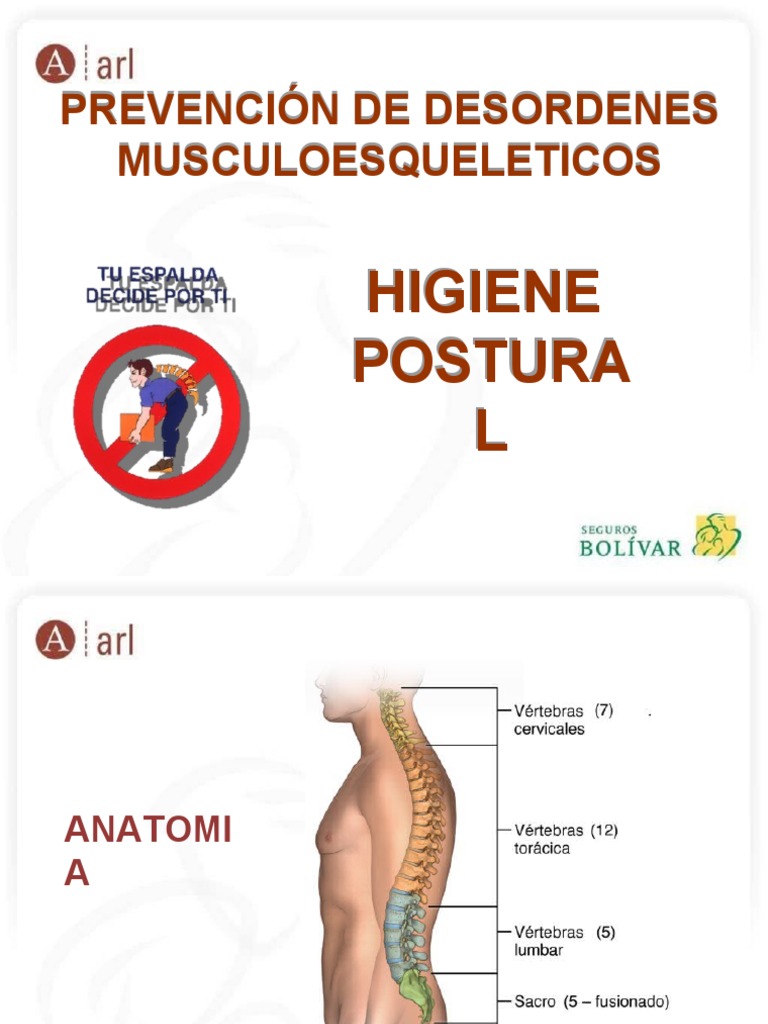 Higiene Postural para Prevenir Lesiones | PDF | Dolor lumbar | Sistema ...