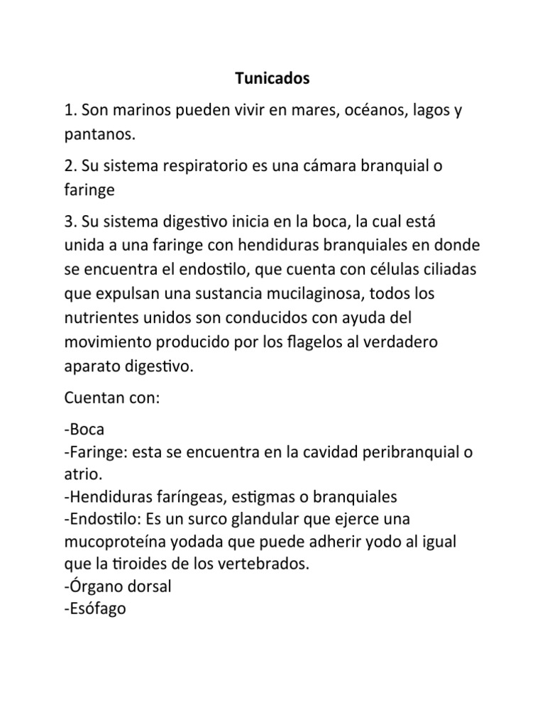 Características de los tunicados comestibles | PDF | Organismos | Anatomía