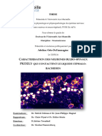 Ortsdelimmagine 0203902420R TH PDF