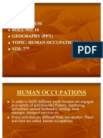 Human Occupations