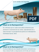 Ractopamina PDF