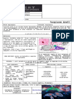 Toxoplasma Gondii