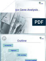 Insilico Gene Analysis