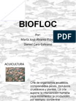 BIOFLOC