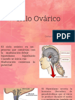 Ciclo Ovarico 1