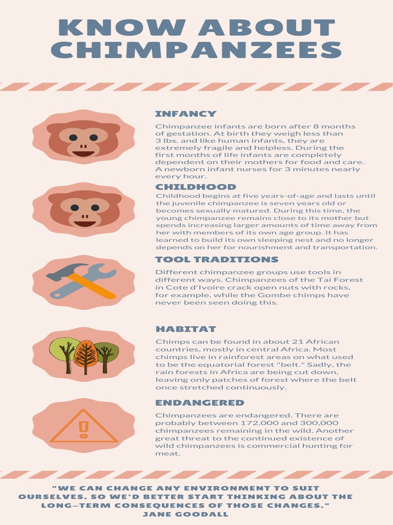 Chimpanzee Life Stages and Conservation | PDF | Wellness | Science ...