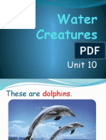 Unit 10 Water Creatures