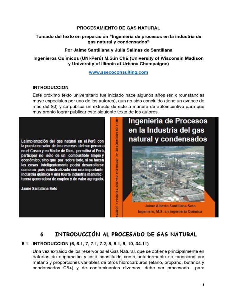 Procesamiento del Gas Natural | PDF | Gas natural | Hidrocarburos