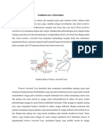 Embriologi Appendiks PDF