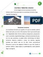 Ecosistemas Terrestres Chilenos
