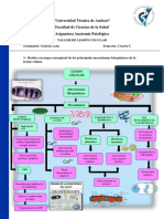 Taller 2 PDF