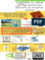 Método de extracción rápida del ADN de Mycobacterium ulcerans