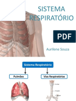 Sistema Respiratório Completo