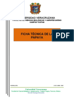 Ficha Tecnica - Papaya