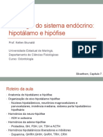 hipotalamo_hipofise.pdf