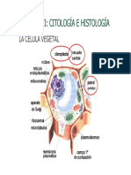 Cap. II - 1. Citologia I