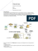 Elaboracion de Vinos Especiales