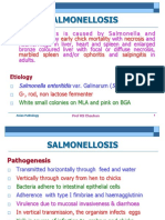 Salmonellosis: Early Chick Mortality Necrosis Marbled Spleen Ophoritis Salpingitis