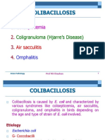 Colisepicemia