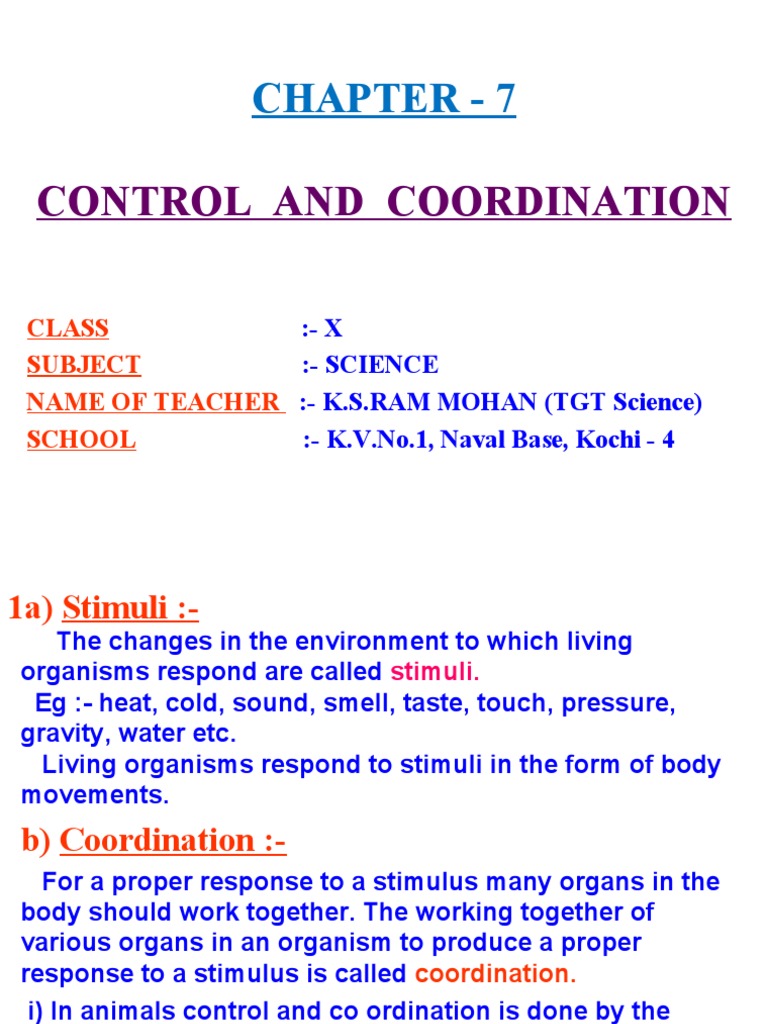 Control and Coordination in Class 10 | PDF | Neuron | Nervous System