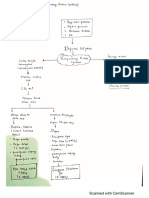 Pathway RDS Oleh Nanik