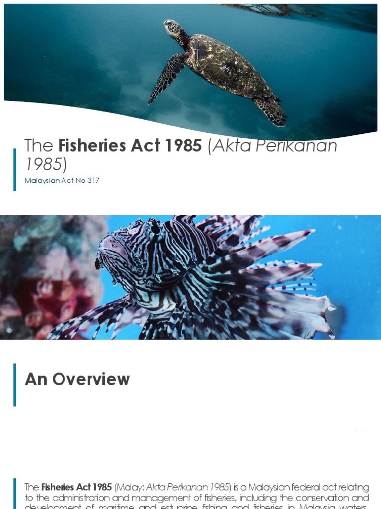 The Fisheries Act Presentation Pdf License Malaysia