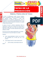 etapas de la reproduccion primaria.pdf