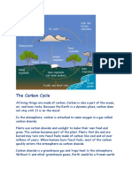 The Carbon Cycle