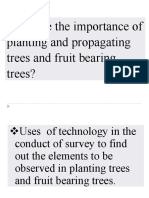 What Are The Importance of Planting and Propagating Trees and Fruit Bearing Trees?