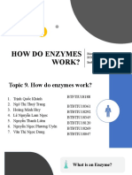 Topic 9 - How Do Enzymes Work