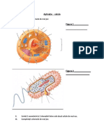 Aplicatie celula.pdf