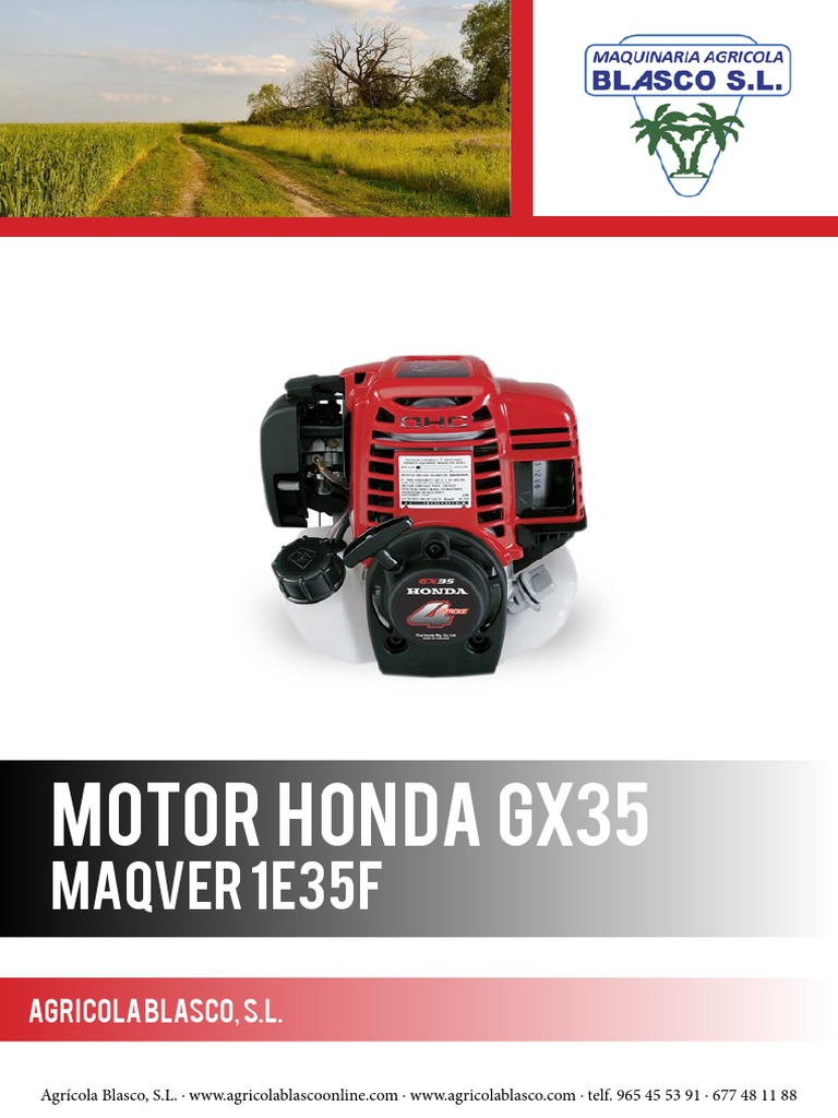 Jardiaffaires Vergaser Für Honda GX35 Motor – Ersatz Für 16100-Z0Z-034, Walbro WYB-16C