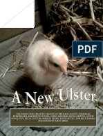A New Ulster Issue 91 May 2020