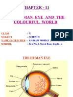 The Amazing Human Eye and How We See Color