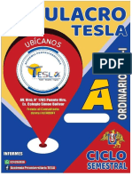 Simulacro Tesla 01 Virtual