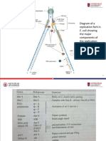 DNA REPAIR Unit II