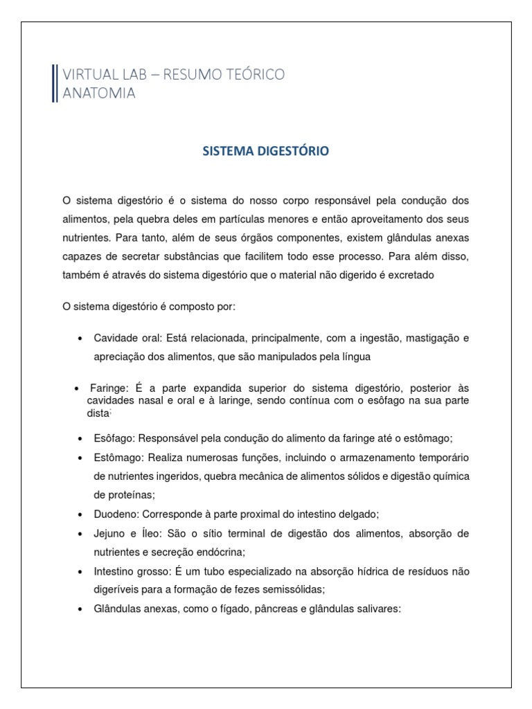 Sistema Digestório Anatomia E Função Pdf Sistema Digestivo Humano