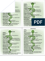 Corti PDF