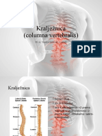 Kralježnica