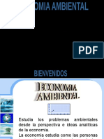 Economia Ambiental1