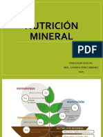 Nutrición mineral: elementos esenciales